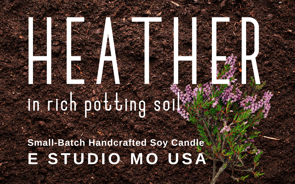 Heather in Rich Potting Soil