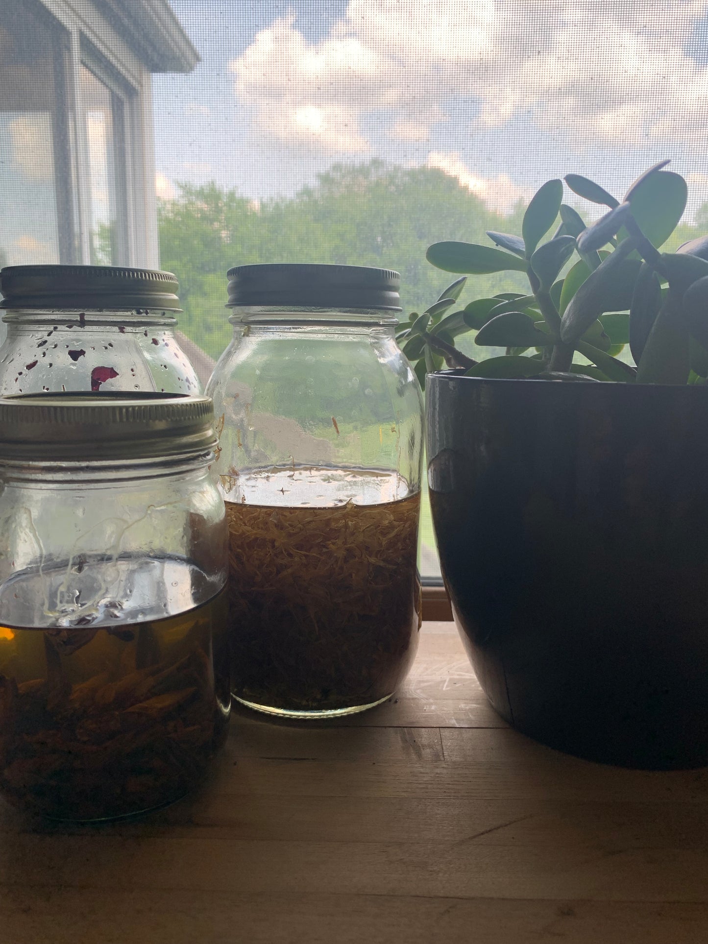 CALENDULA-COMFREY-PLANTAIN SALVE