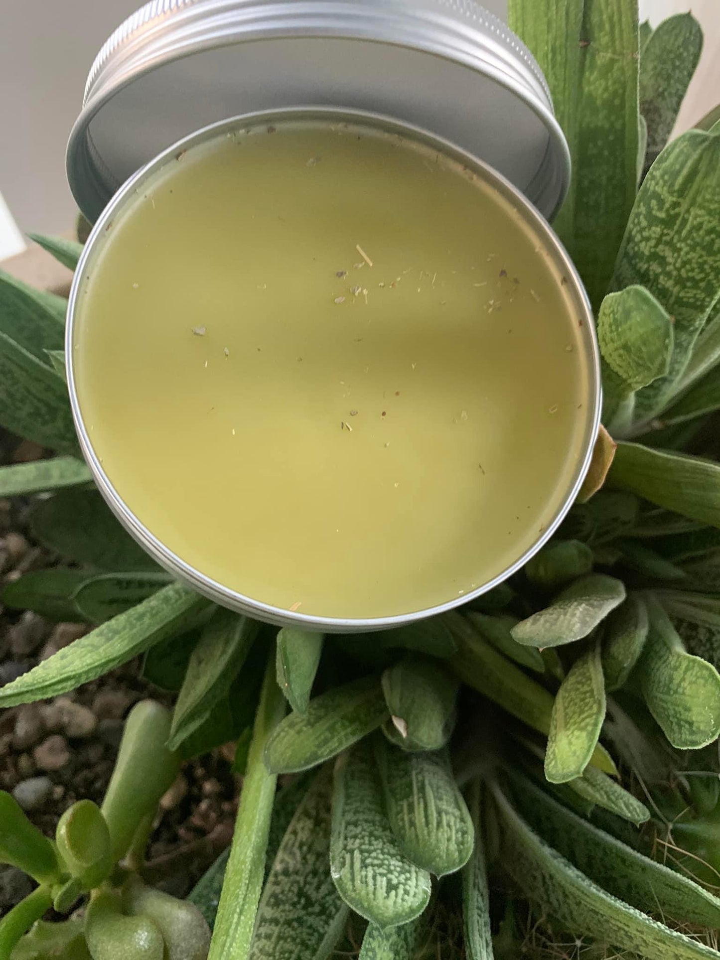 Plantain Healing Salve