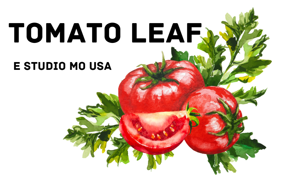 Tomato Leaf