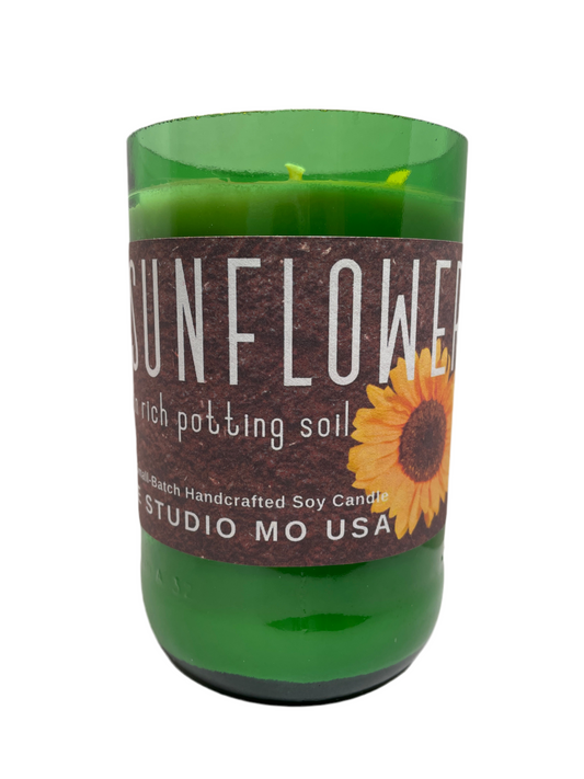 Sunflower in Rich Potting Soil
